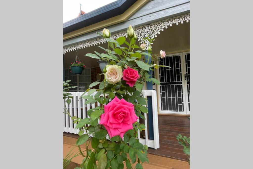 Mountain Living With Ocean Views Villa Mount Tamborine Exteriör bild