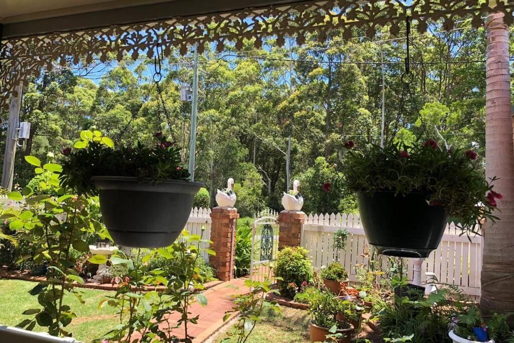 Mountain Living With Ocean Views Villa Mount Tamborine Exteriör bild